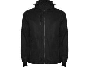 Парка «Alaska» мужская